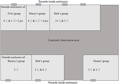 The Extraordinary Nature of Barney's Drumming: A Complementary Study of Ordinary Noise Making in Chimpanzees